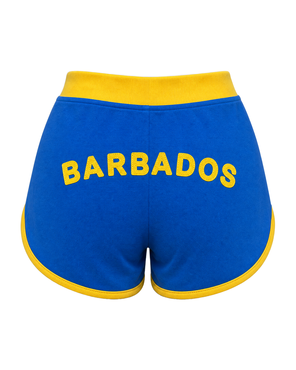Barbados Flag Shorts - back