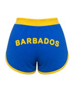 Barbados Flag Shorts - back