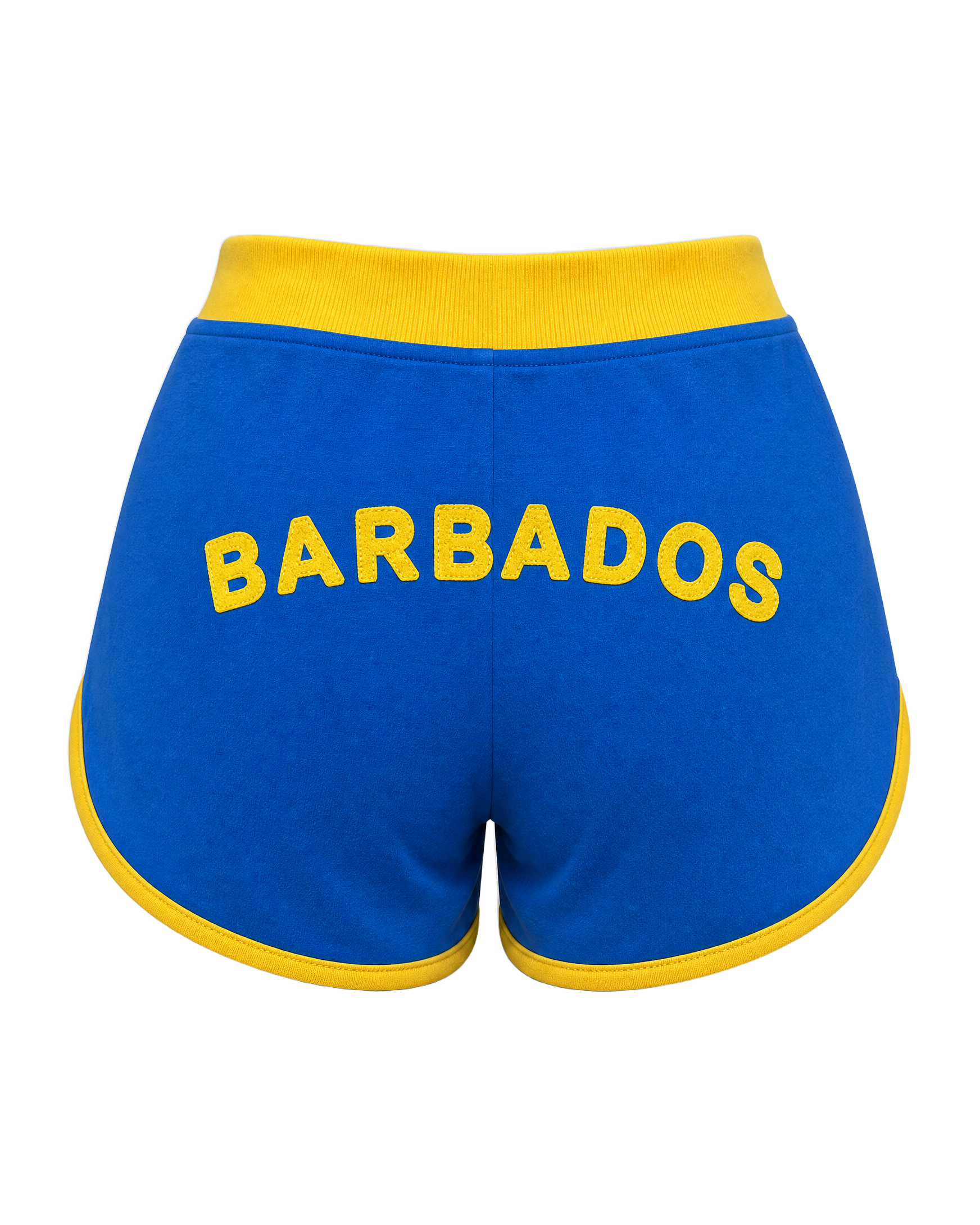 Barbados Flag Shorts - back