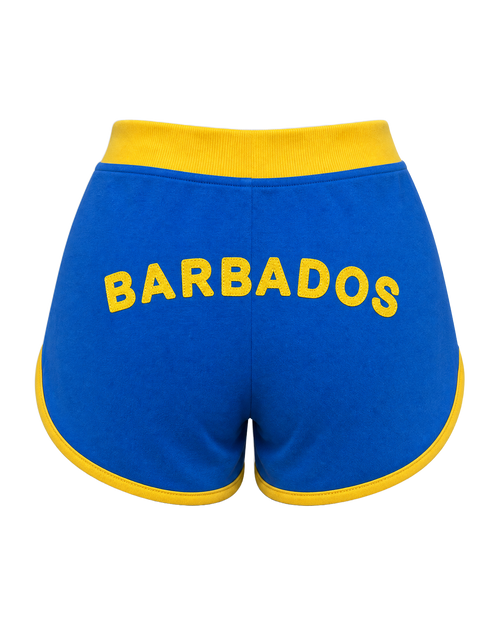 Barbados Flag Shorts - back