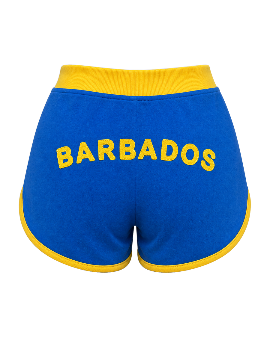 Barbados Flag Shorts
