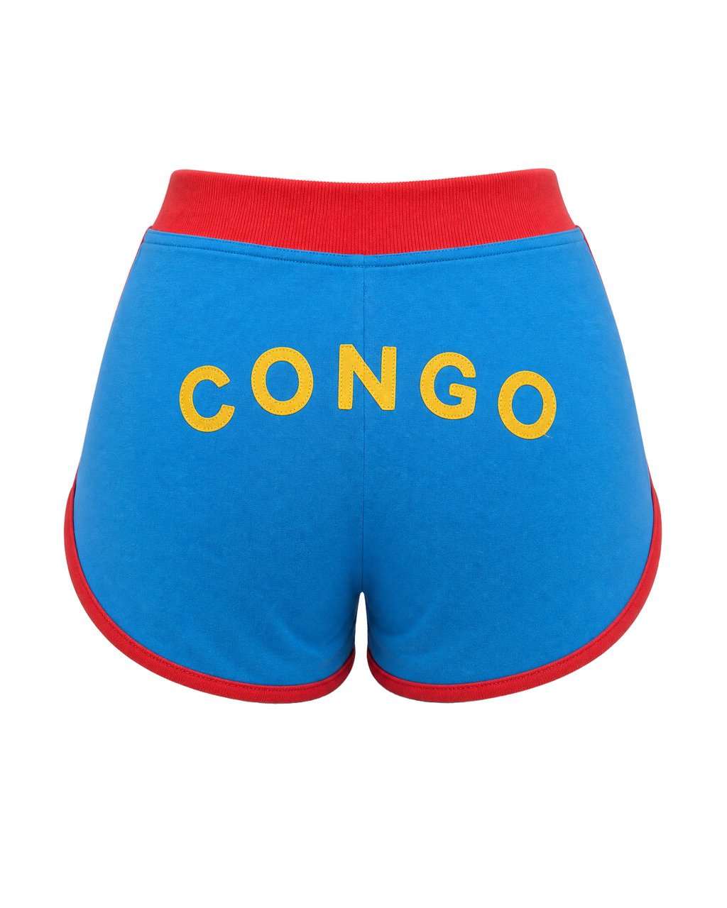 Congo Flag Shorts - back