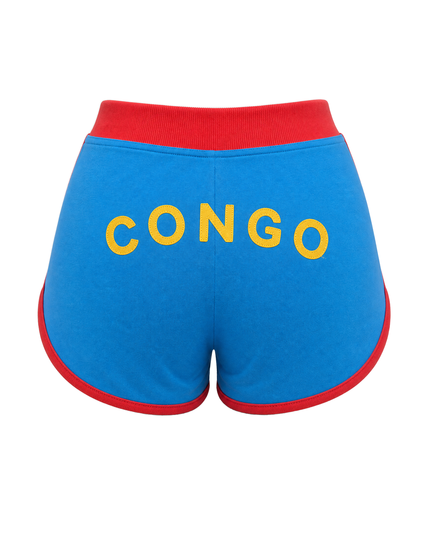Congo Flag Shorts - back