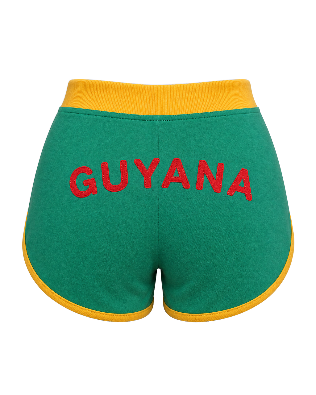 Guyana Flag Shorts - back